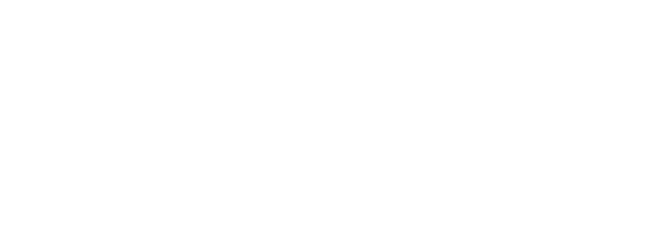 Raven Workforce Solutions